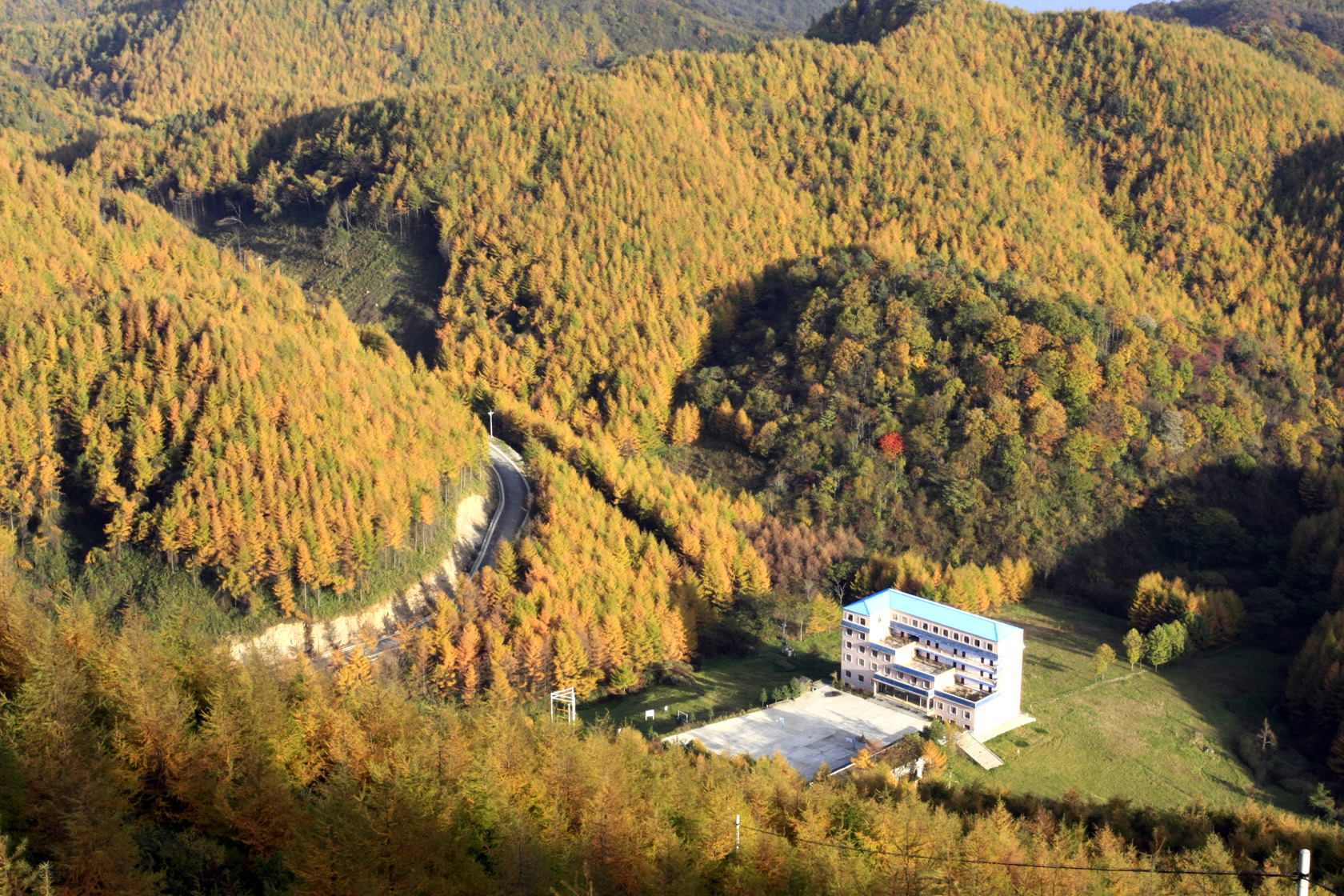 巫山梨子坪森林公园