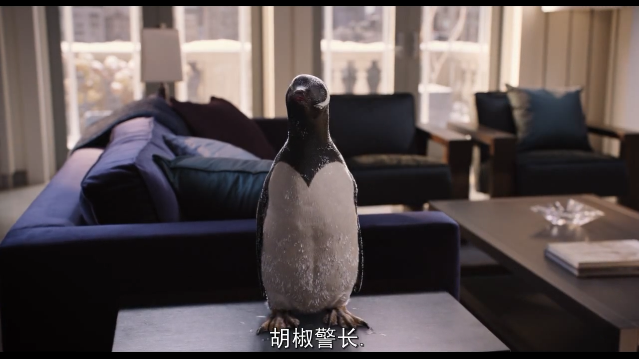 波普先生的企鹅