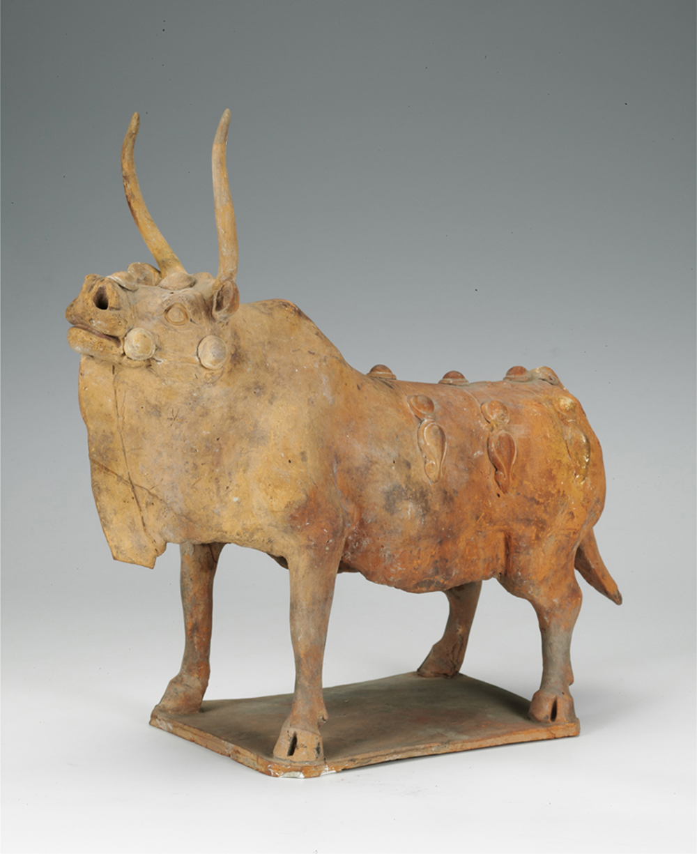 p>此展品为南北朝时期的陶瓷器,陶牛体格雄健,牛头高昂,神态威猛,生