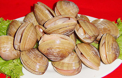  p data-id="gnvh64ri0k">黄蚬子学名青柳蛤,产于 a target="_blank"