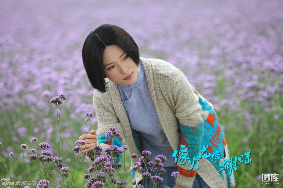 像火花像蝴蝶