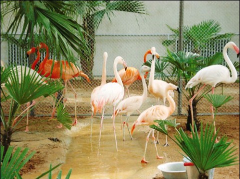 太原卧虎山动物园