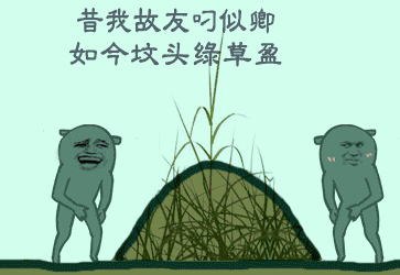 363_250gif 动态图 动图