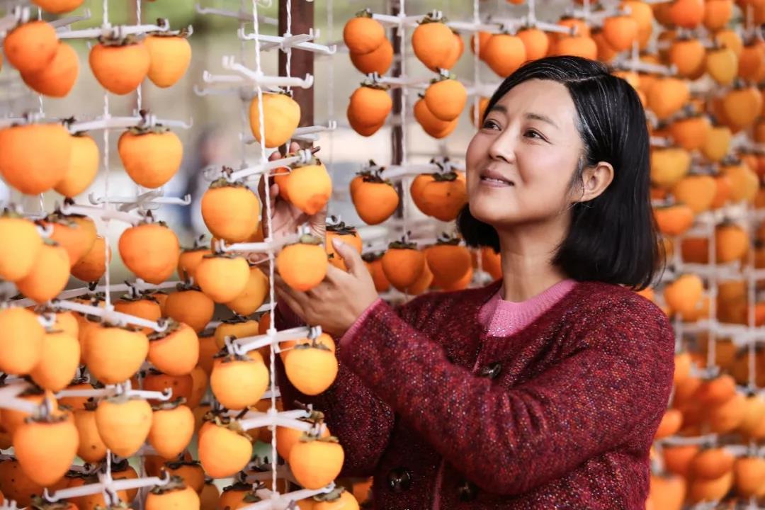 岁岁年年柿柿红