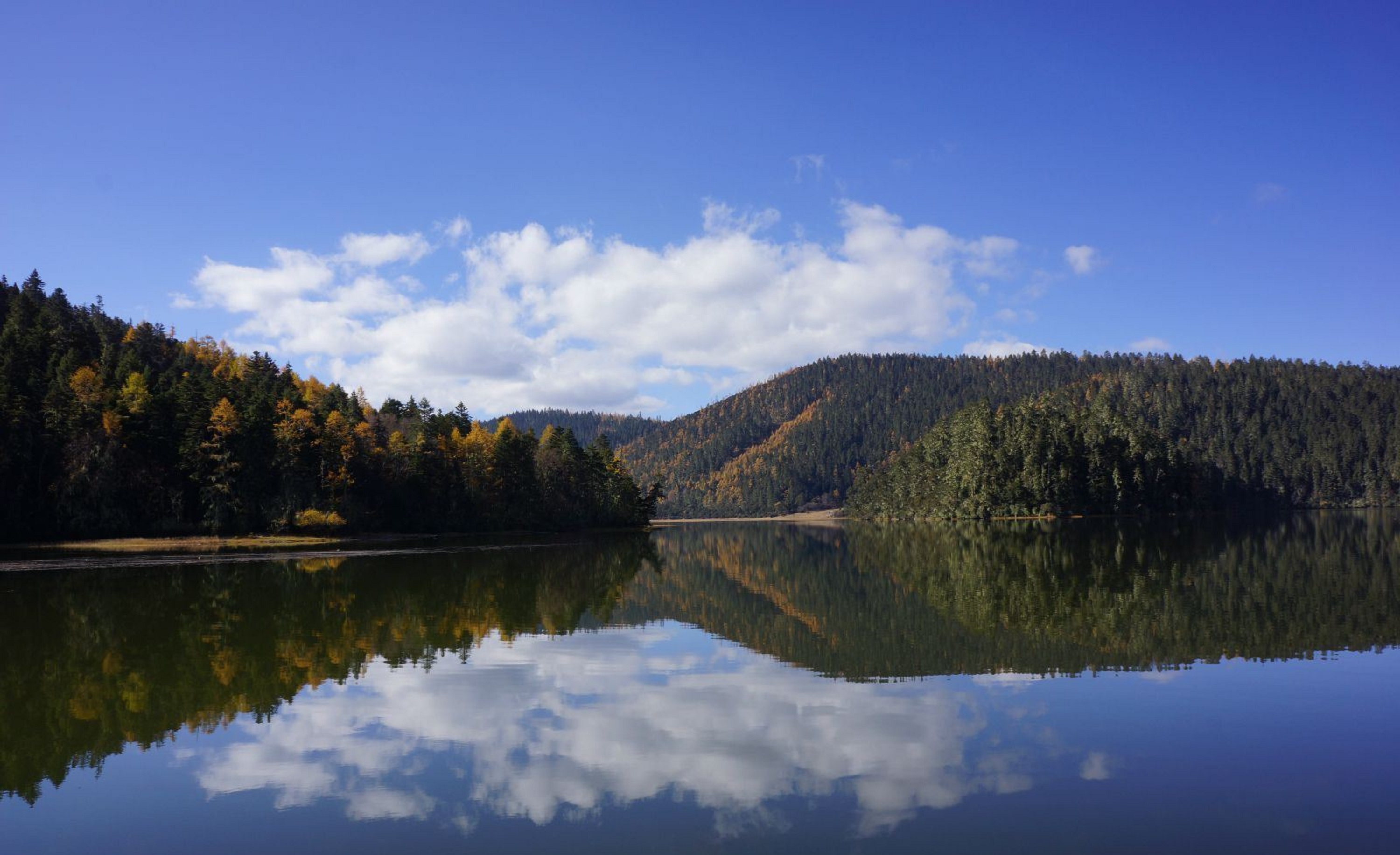 碧塔海自然保护区