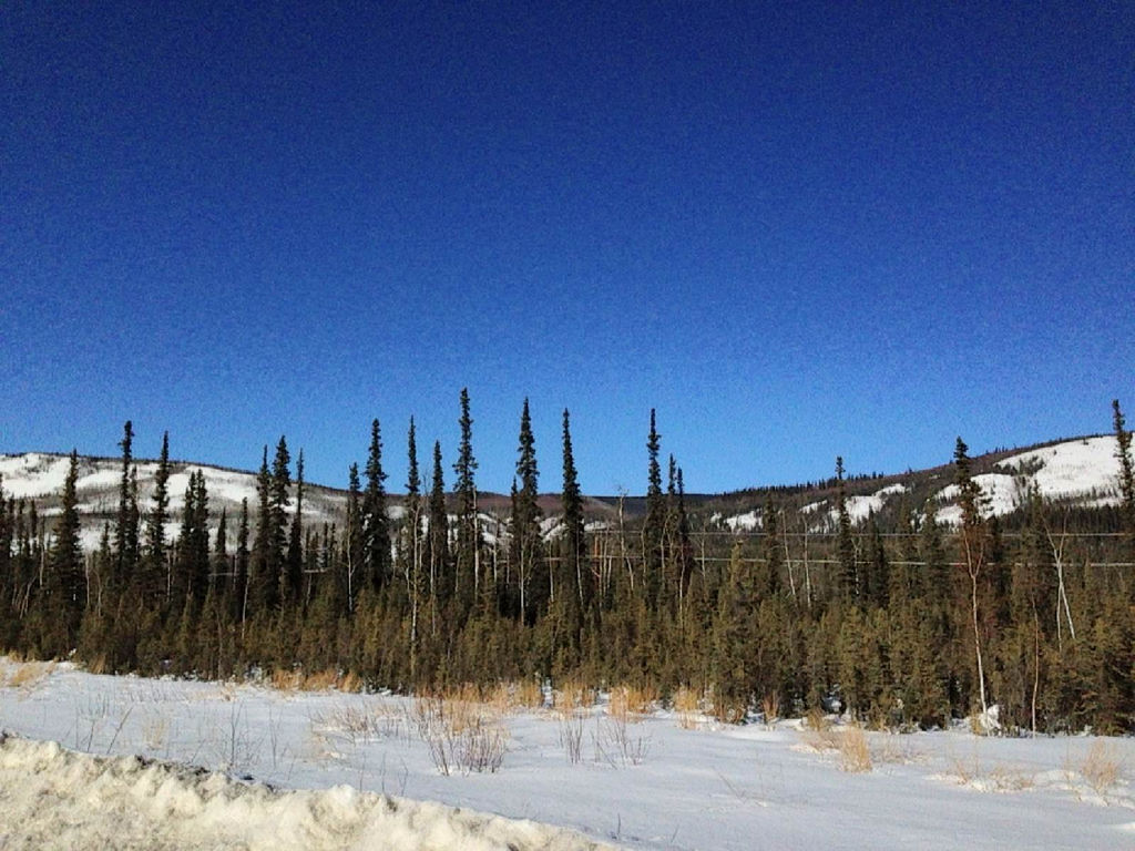 或称道森市镇,是加拿大<a href="#" data