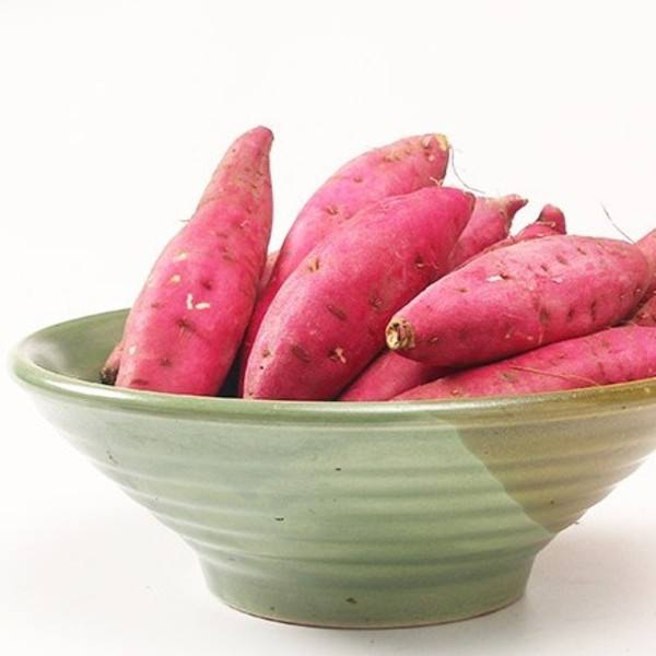  p>泗水地瓜,山东省济宁市 a target="_blank" href="/item/泗水县