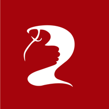  p data-id="gnvh6mck1b">丑人,丑人集团的简称.