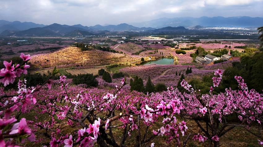 林家村 /a>属于浙江省 a href="#" data-lemmaid="10094552">奉化市 