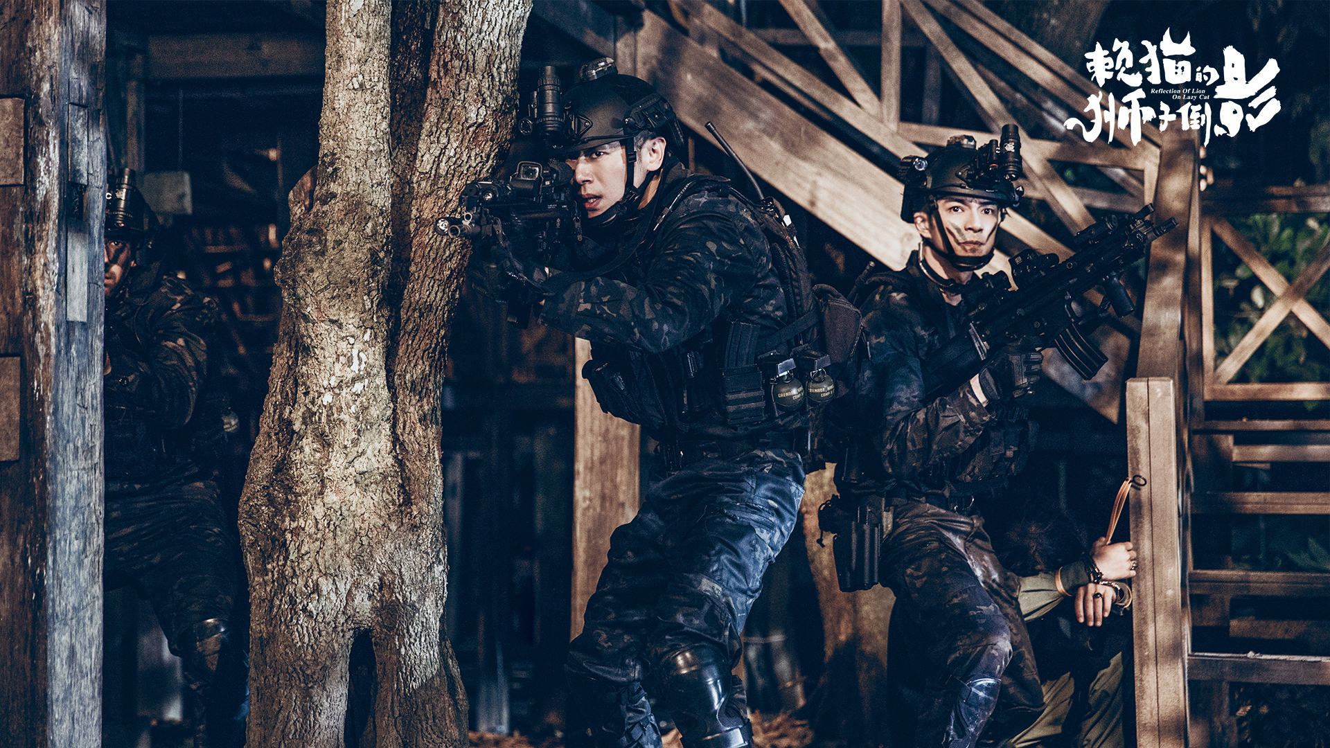 赖猫的狮子倒影