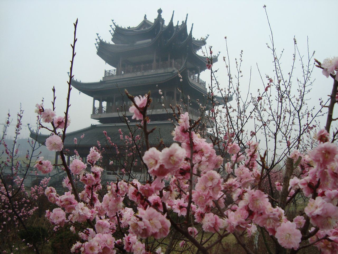 赣榆县青口生态公园