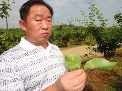 刘凤权