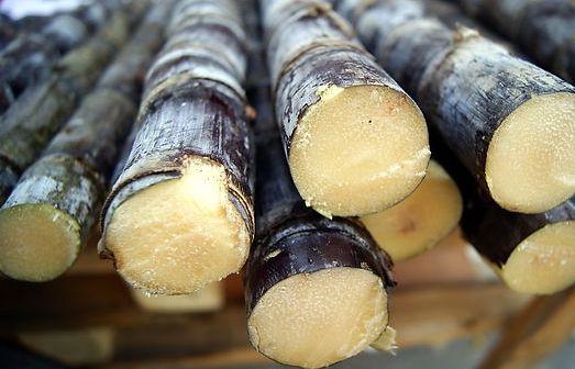  p>东乡甘蔗,江西省抚州市东乡区特产,全国农产品地理标志.