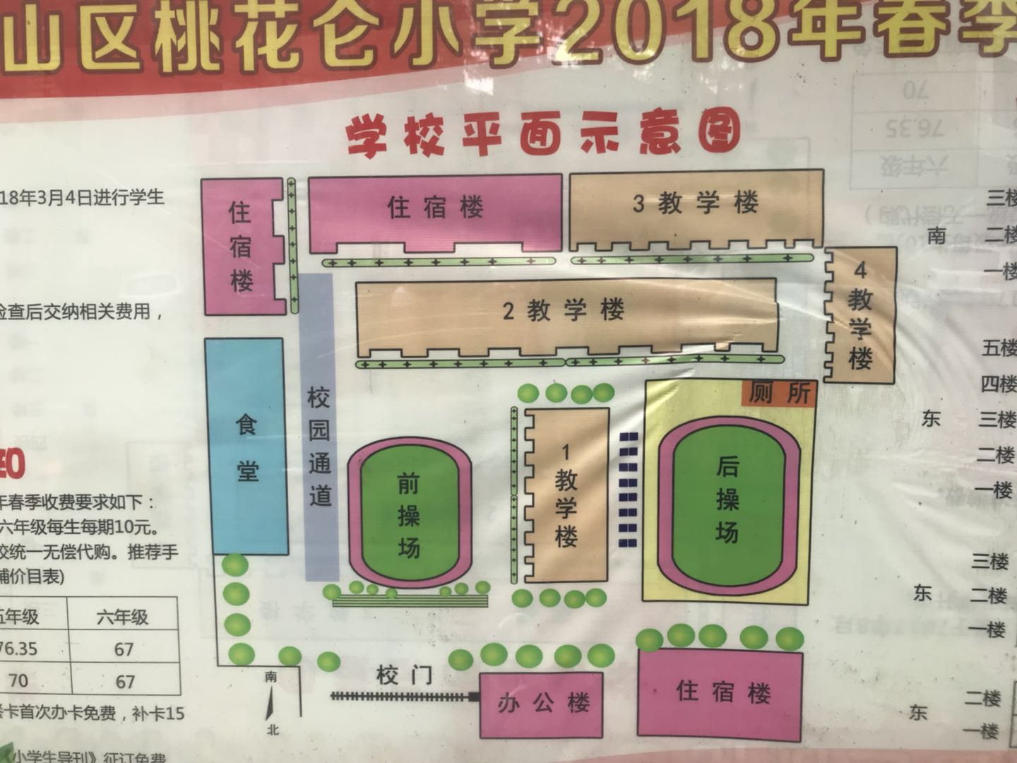 益阳桃花仑小学