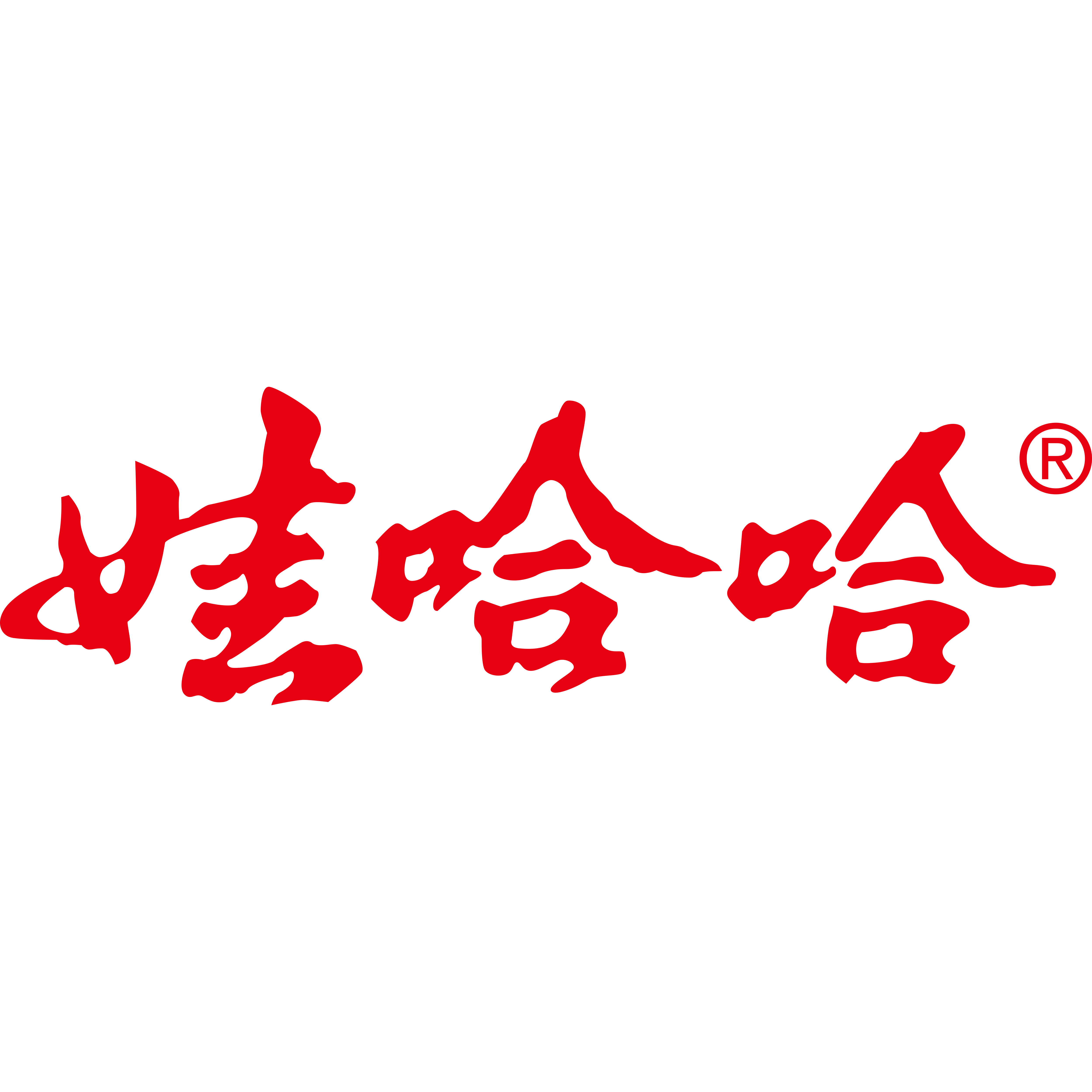 杭州娃哈哈集团有限公司