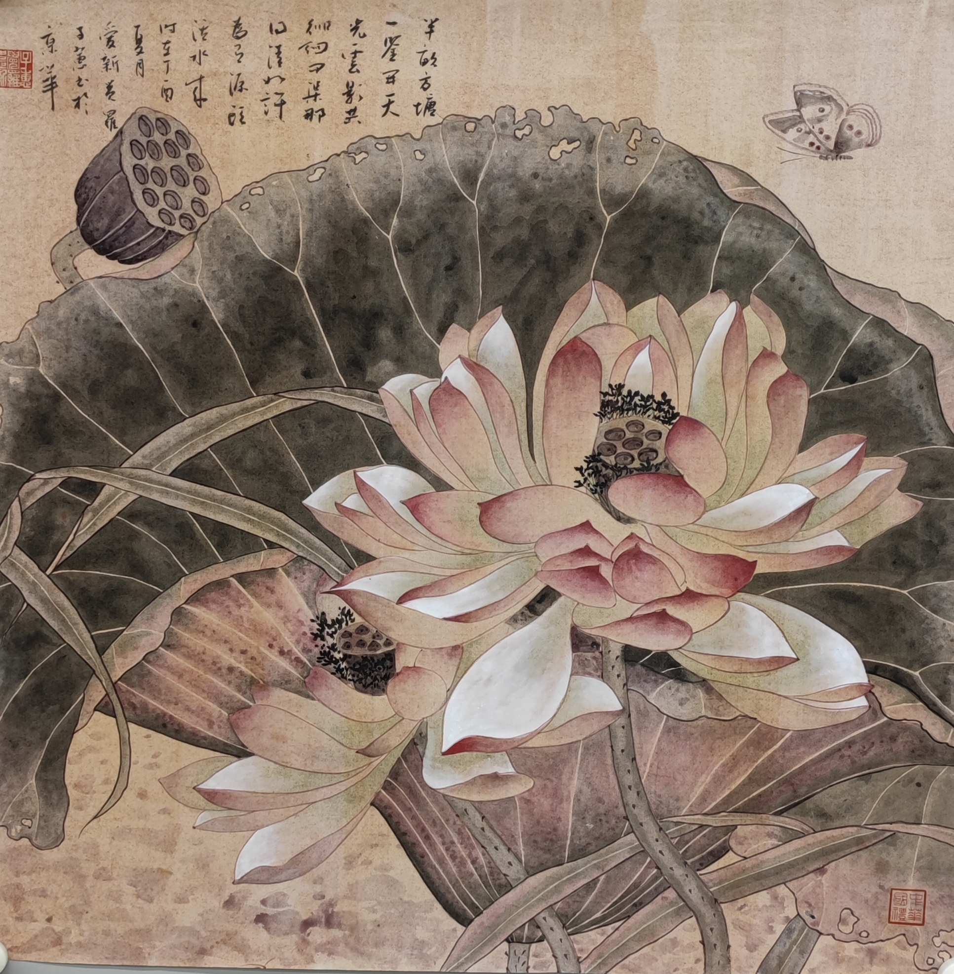 中国近现代名家画集(大红袍)爱新觉罗·子蕙画集