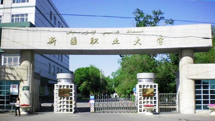 新疆职业大学