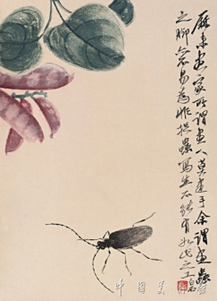 豆荚天牛