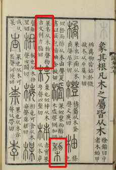 梨（汉语文字）_百度百科