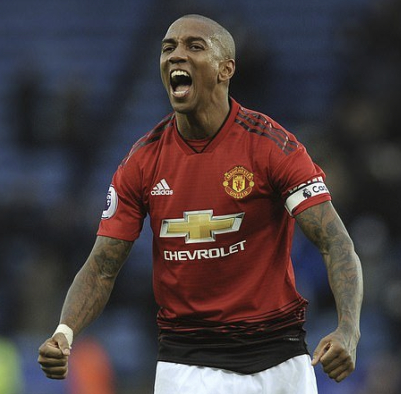 阿什利·西蒙·扬