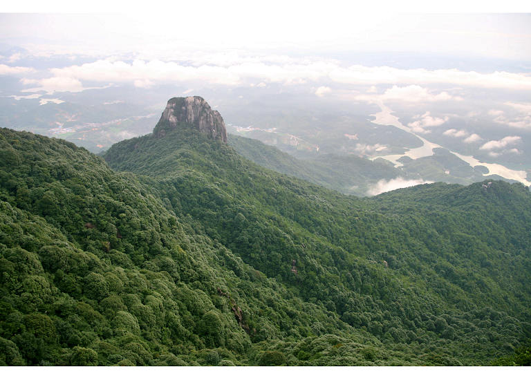 永定王寿山国家森林公园