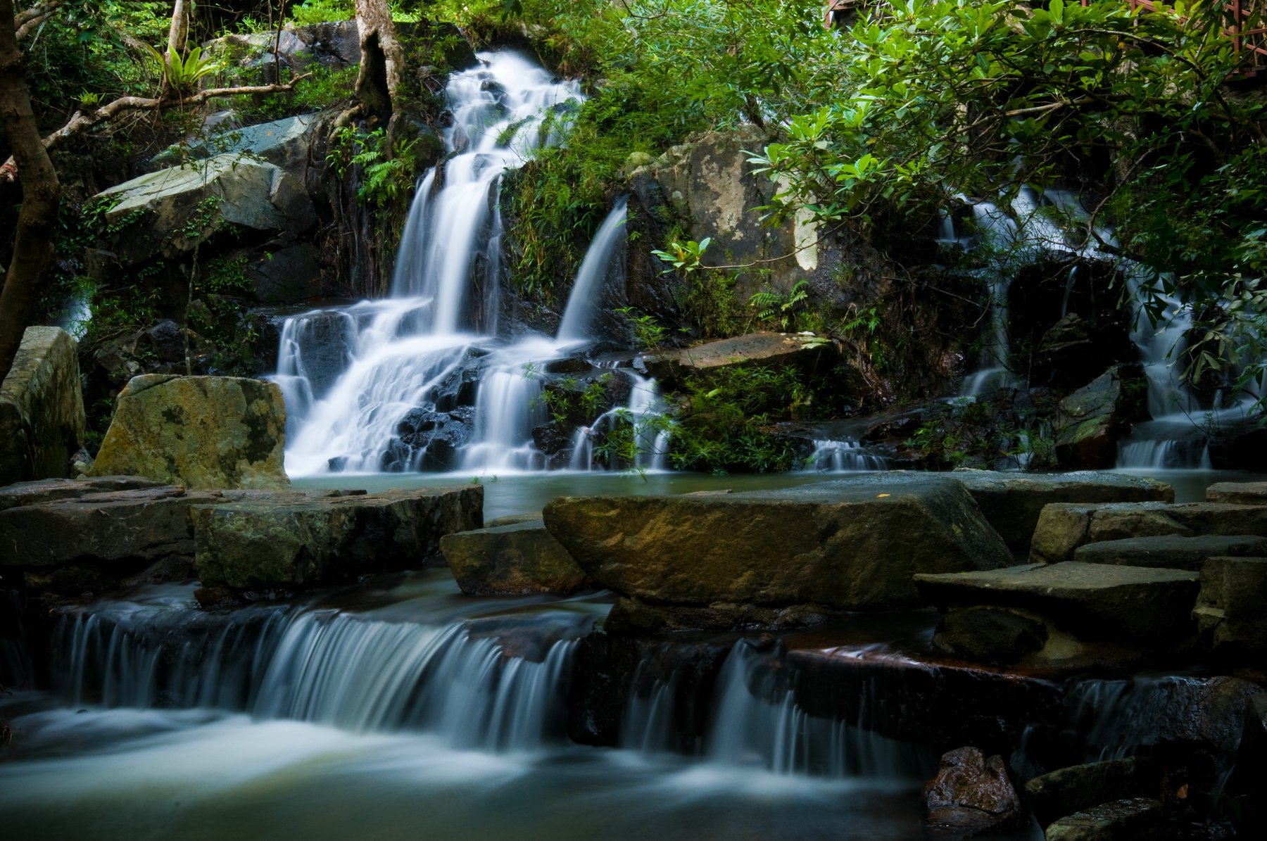 呀诺达热带雨林区