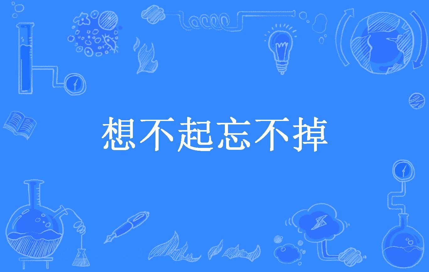 想不起忘不掉