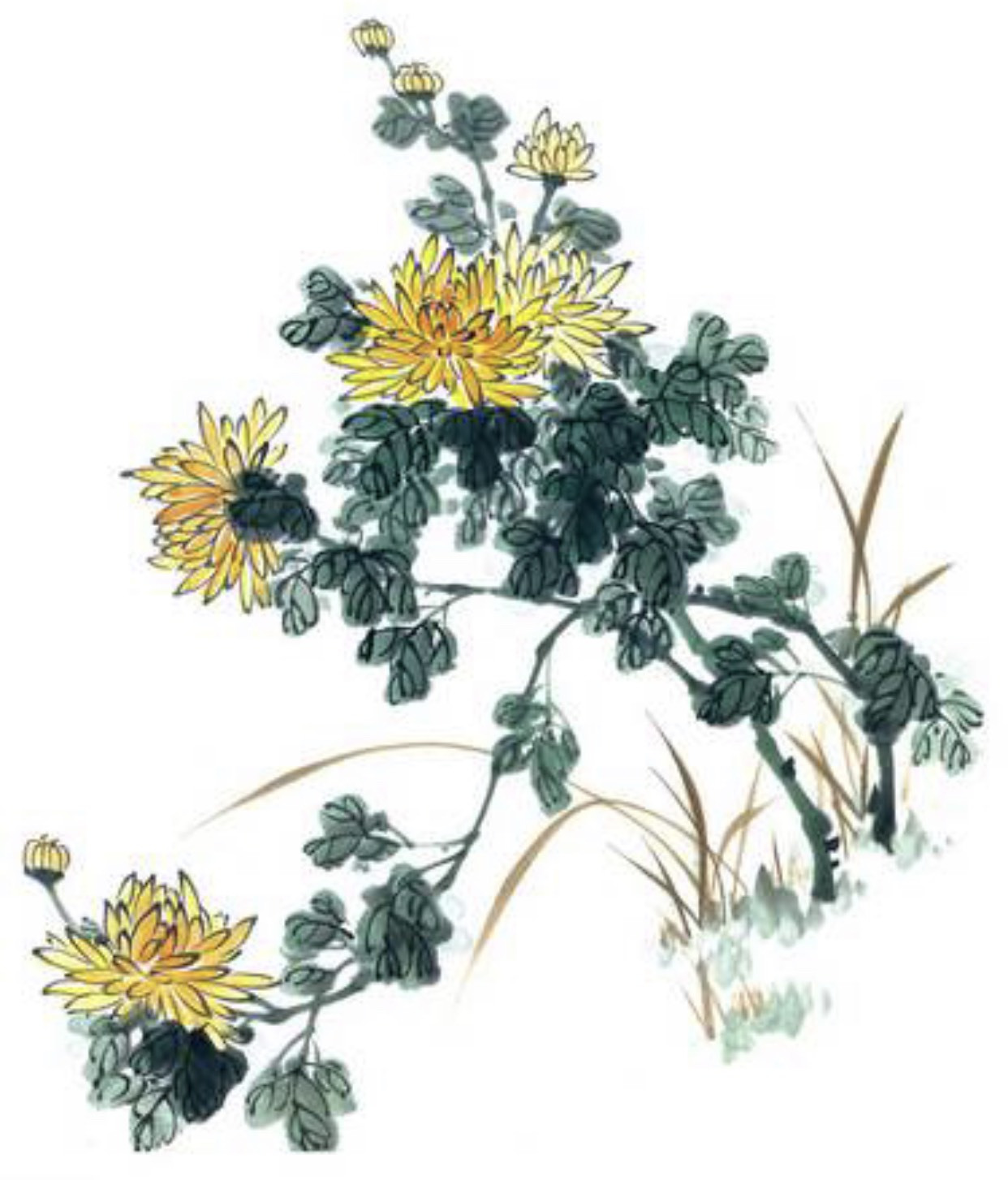 黄菊二十首皆出自一人_百科TA说