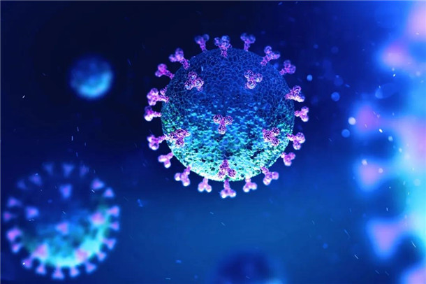 ",是指 a target="_blank" href="/item/2019新型冠状病毒/24267858"