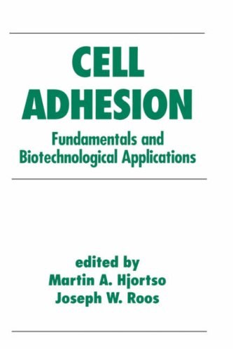 cell adhesion