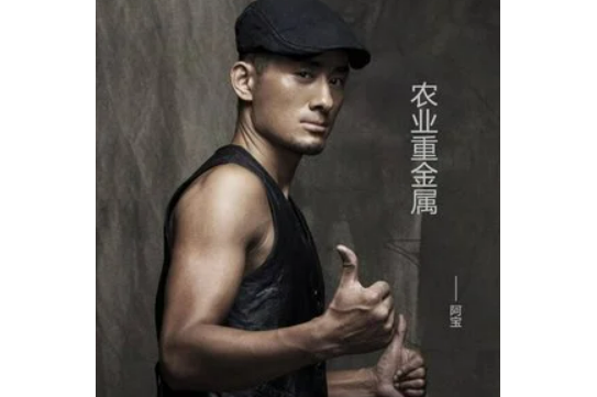  p>《不一样》是阿宝演唱歌曲,收录于专辑《农业重金属》中. /p>