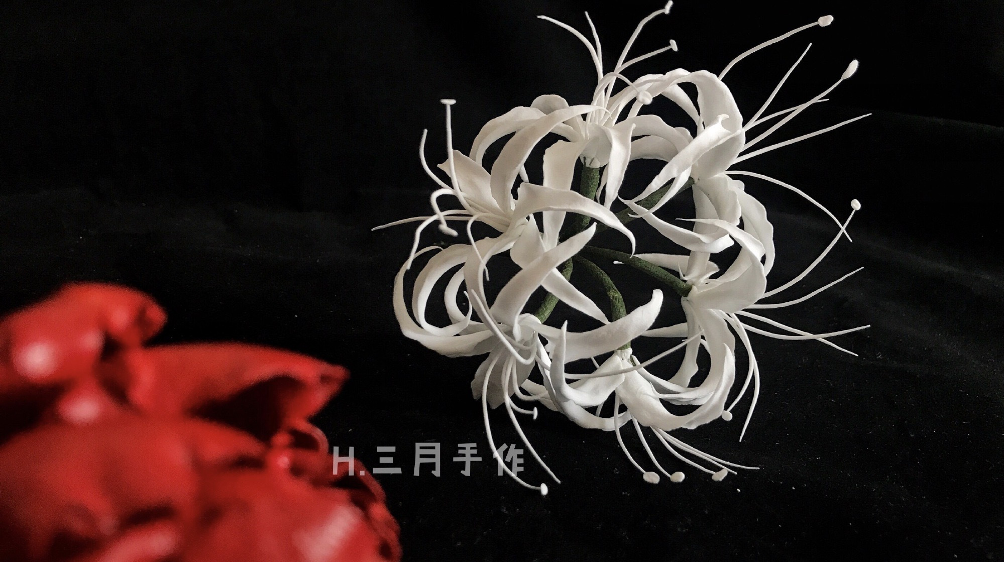 白色彼岸花 百度百科