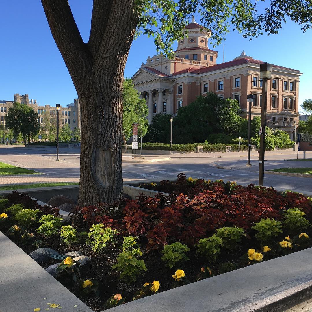  p> b>曼尼托巴大学(university of manitoba) /b>,简称曼大,坐落于 a
