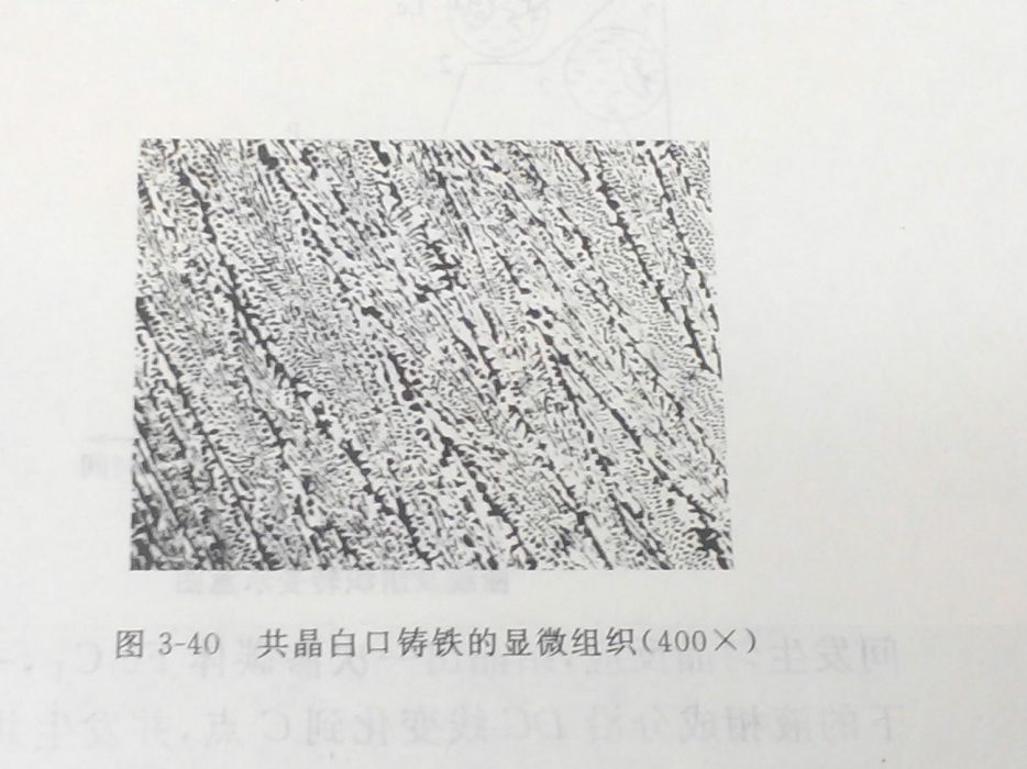 共晶白口铸铁(冶金 名词)