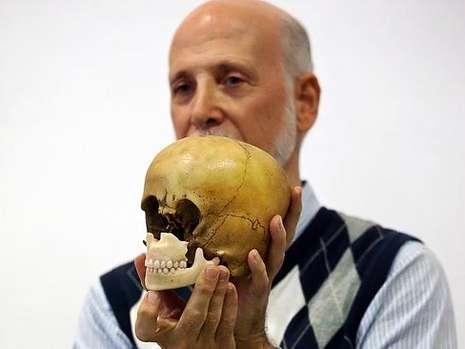  p data-id="gnwpbpfs14">头骨(cranium) a target="_blank" href="