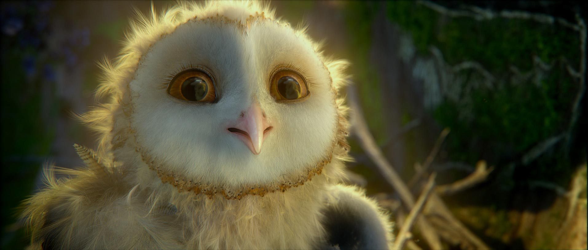 猫头鹰王国之守卫者传奇