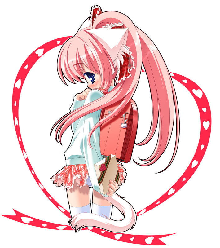 怪正太