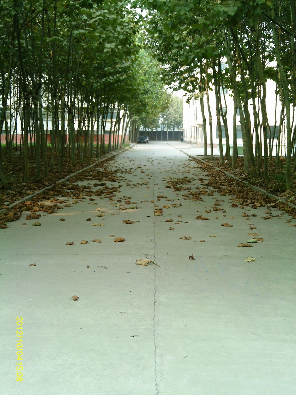 东阿县第四中学