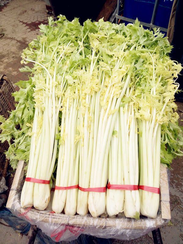  p>桂河芹菜,山东省潍坊市 a target="_blank" href="/item/寿光市