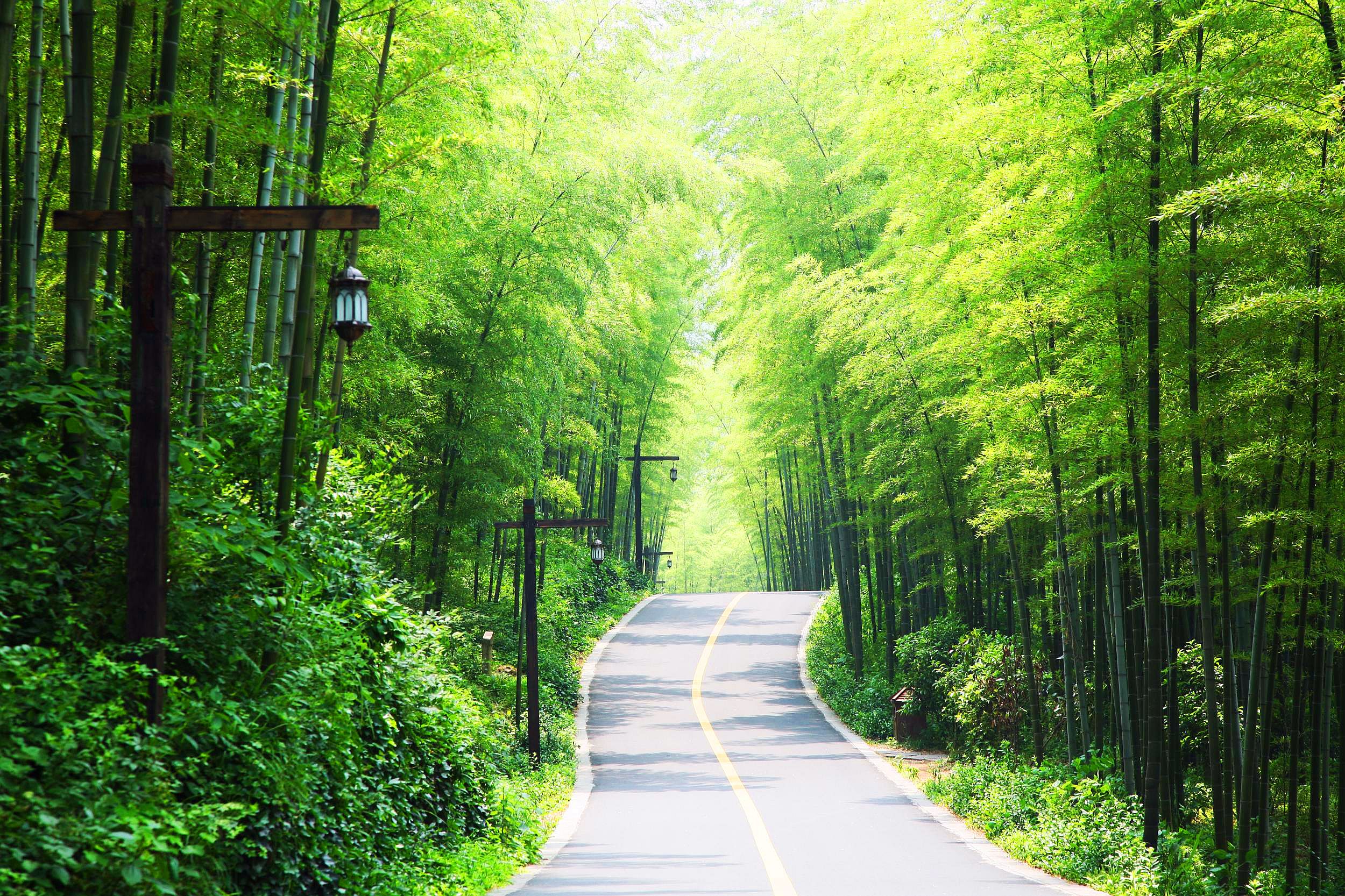 天目湖南山竹海景区