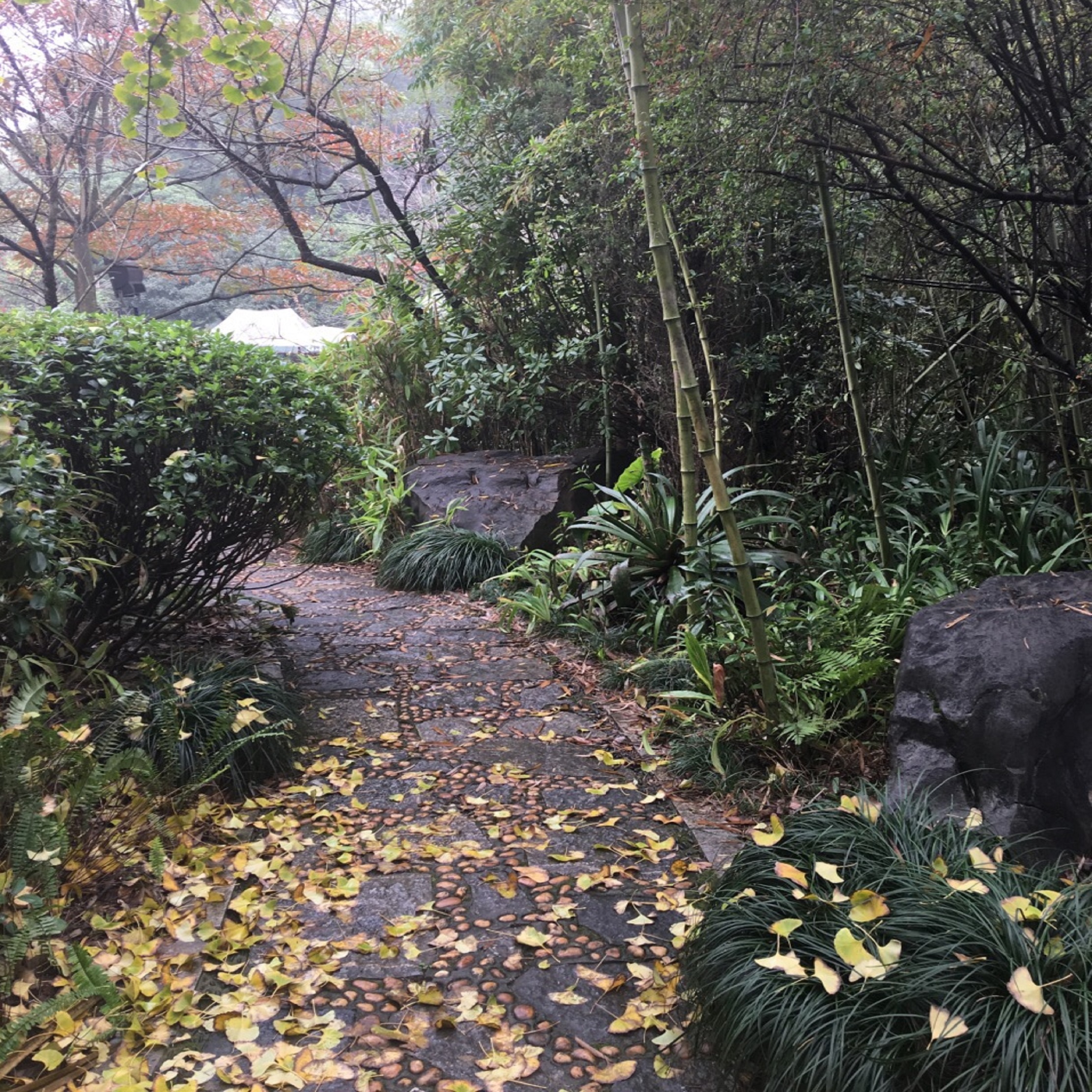 桂林市黑山植物园