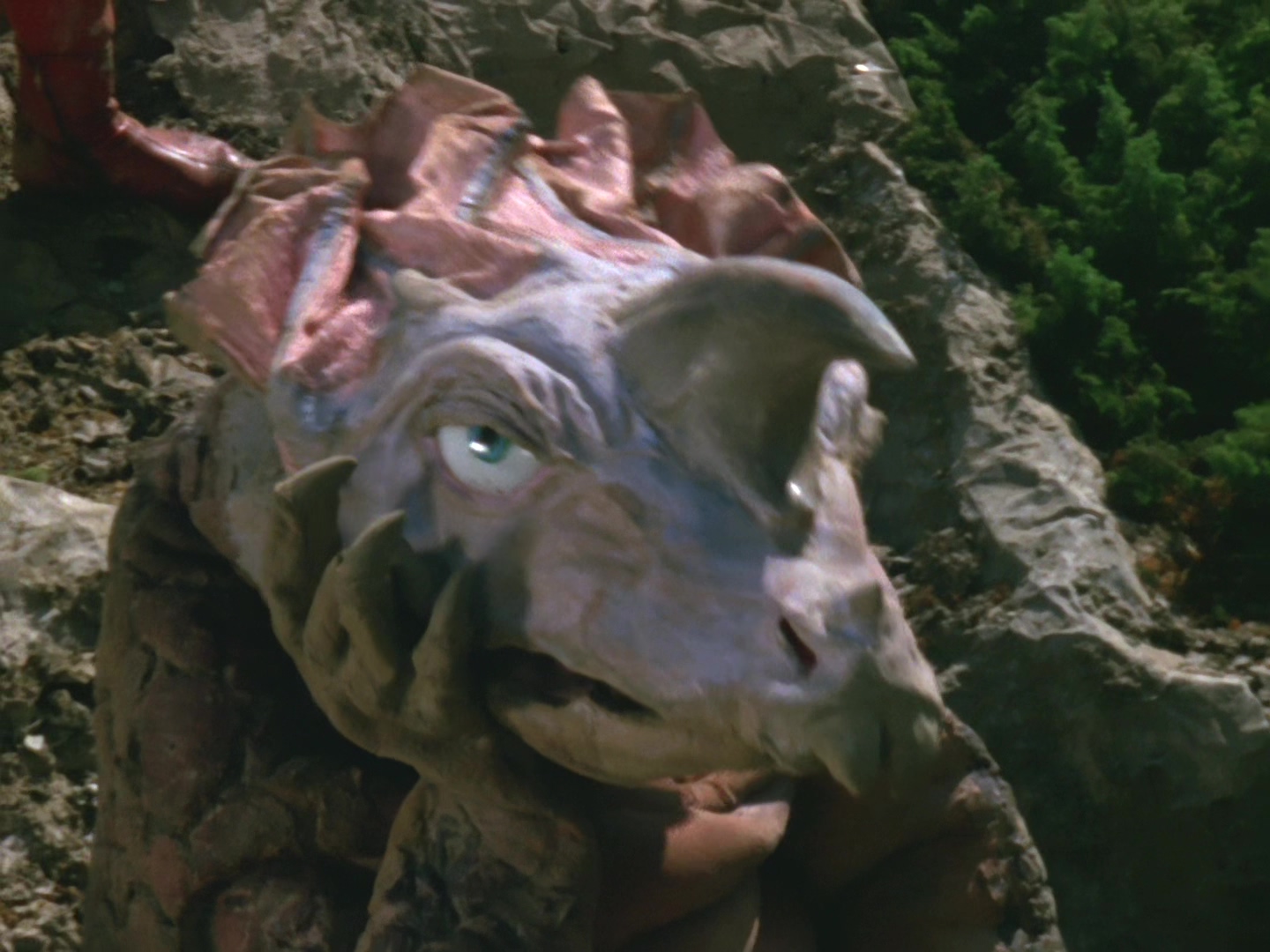 data-lemmaid="4953562">胶囊怪兽 /a>之一,敏捷怪兽阿基拉,样子