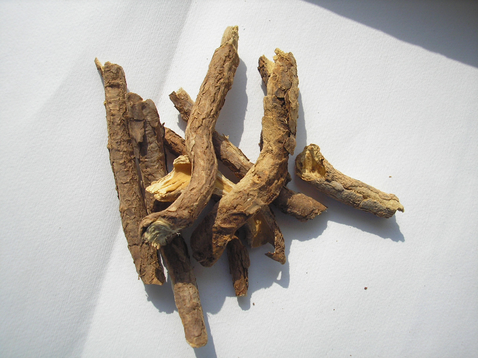  p>香加皮,中药名.为萝藦科植物杠柳 i>periploca sepium bge.