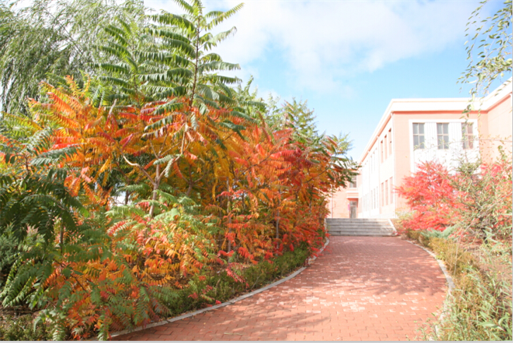 建平第一高级中学