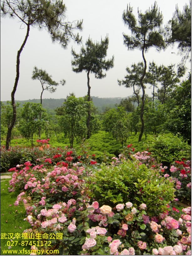 武汉幸福山生命公园