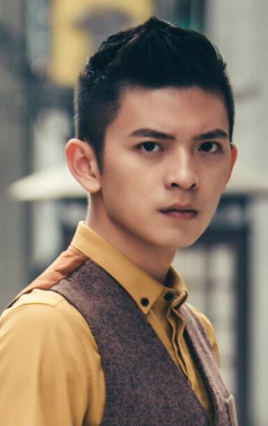 《寻阁传》是一部由杭州圣丽树文化有限公司出品,导演赵博,蒋宇扬执导