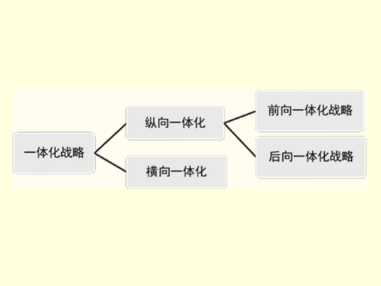 一体化战略_百度百科