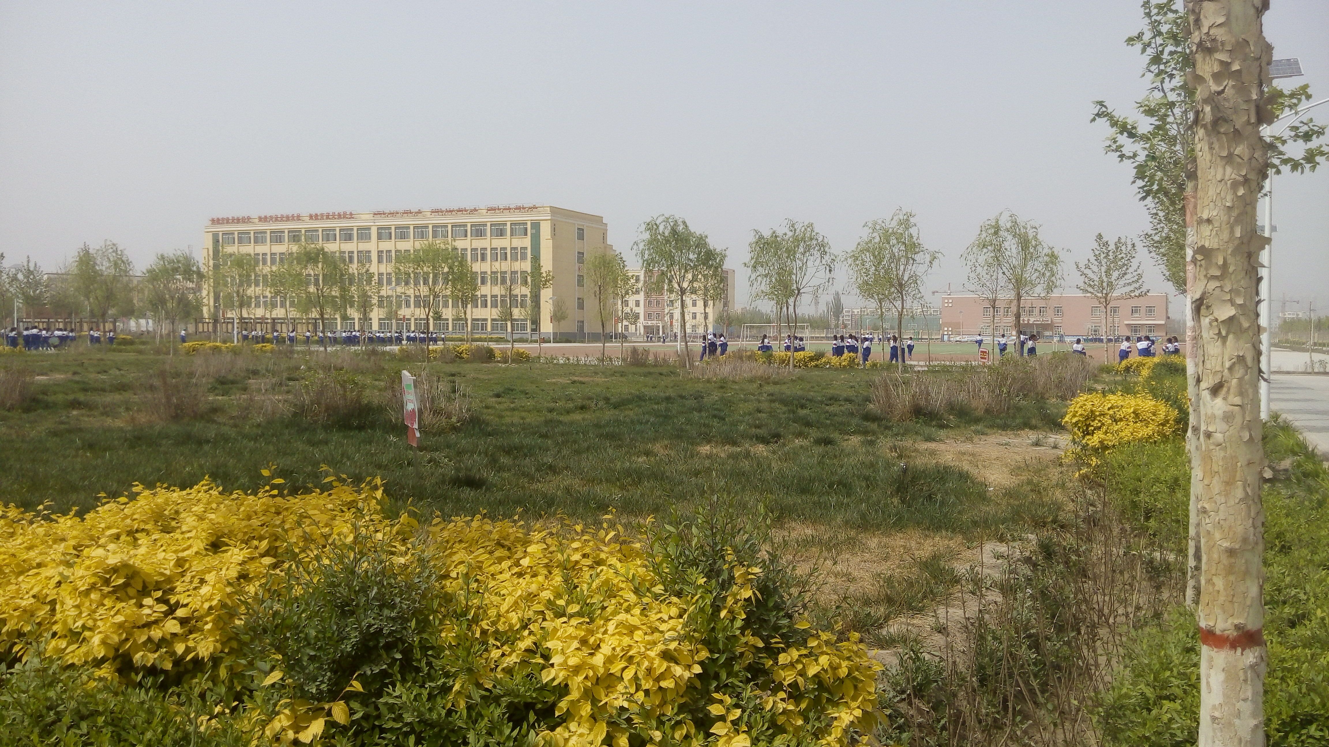 莎车县第七中学