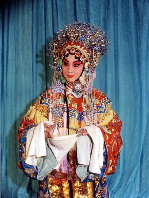 lvmxh">张淑景: a target="_blank" href="/item/北京京剧院/3060796"