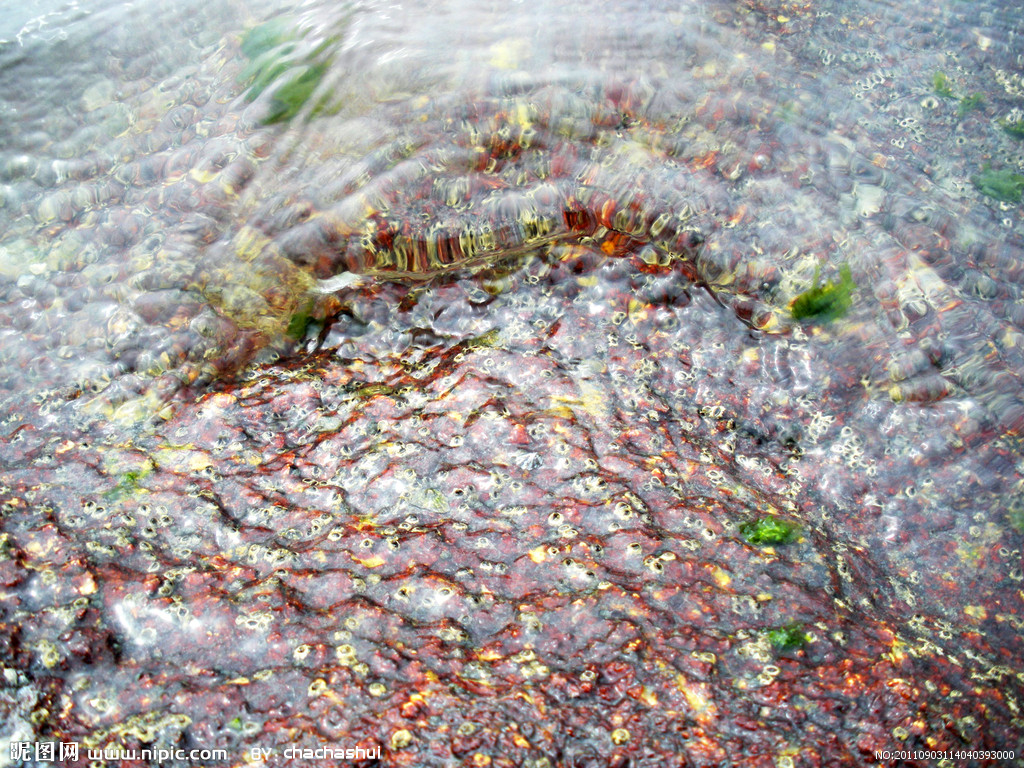  p>湖南湄公螺( a target="_blank" href="/item/拉丁文学名/8723144"